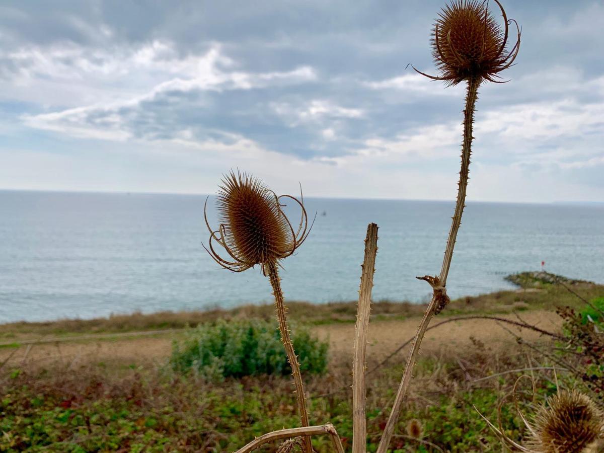 Shorefield Country Park, Where The New Forest Meets The Sea, Passes For All Entertainment Included ミルフォード・オン・シー エクステリア 写真