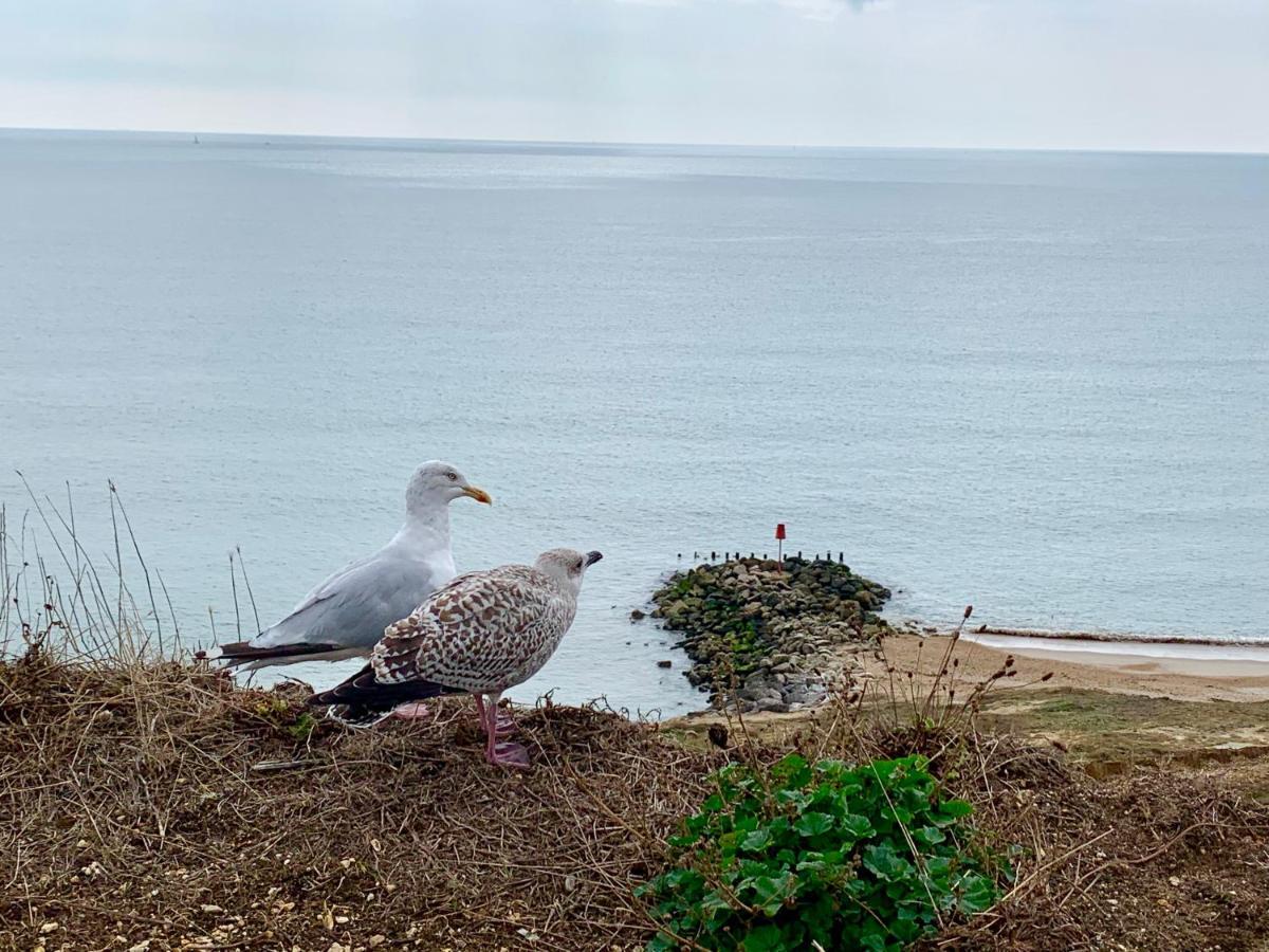 Shorefield Country Park, Where The New Forest Meets The Sea, Passes For All Entertainment Included ミルフォード・オン・シー エクステリア 写真