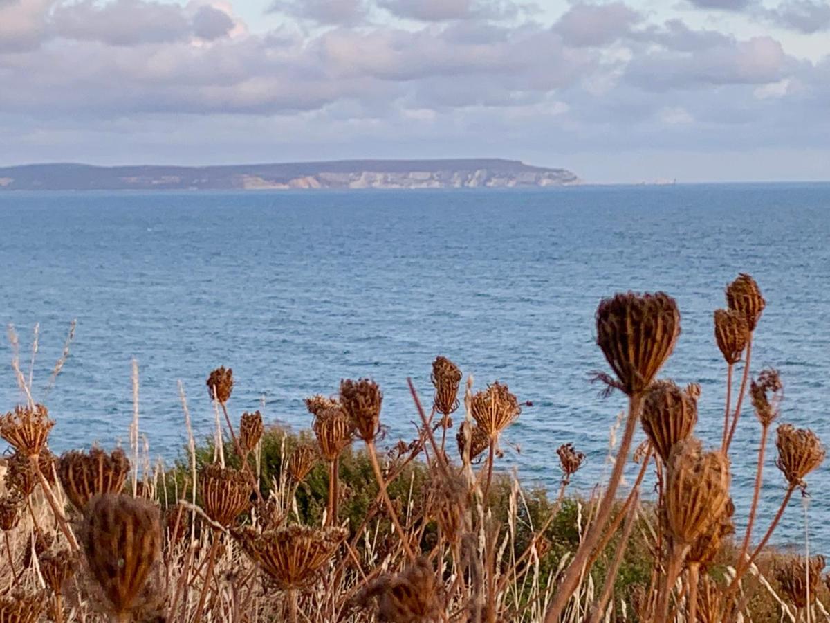 Shorefield Country Park, Where The New Forest Meets The Sea, Passes For All Entertainment Included ミルフォード・オン・シー エクステリア 写真
