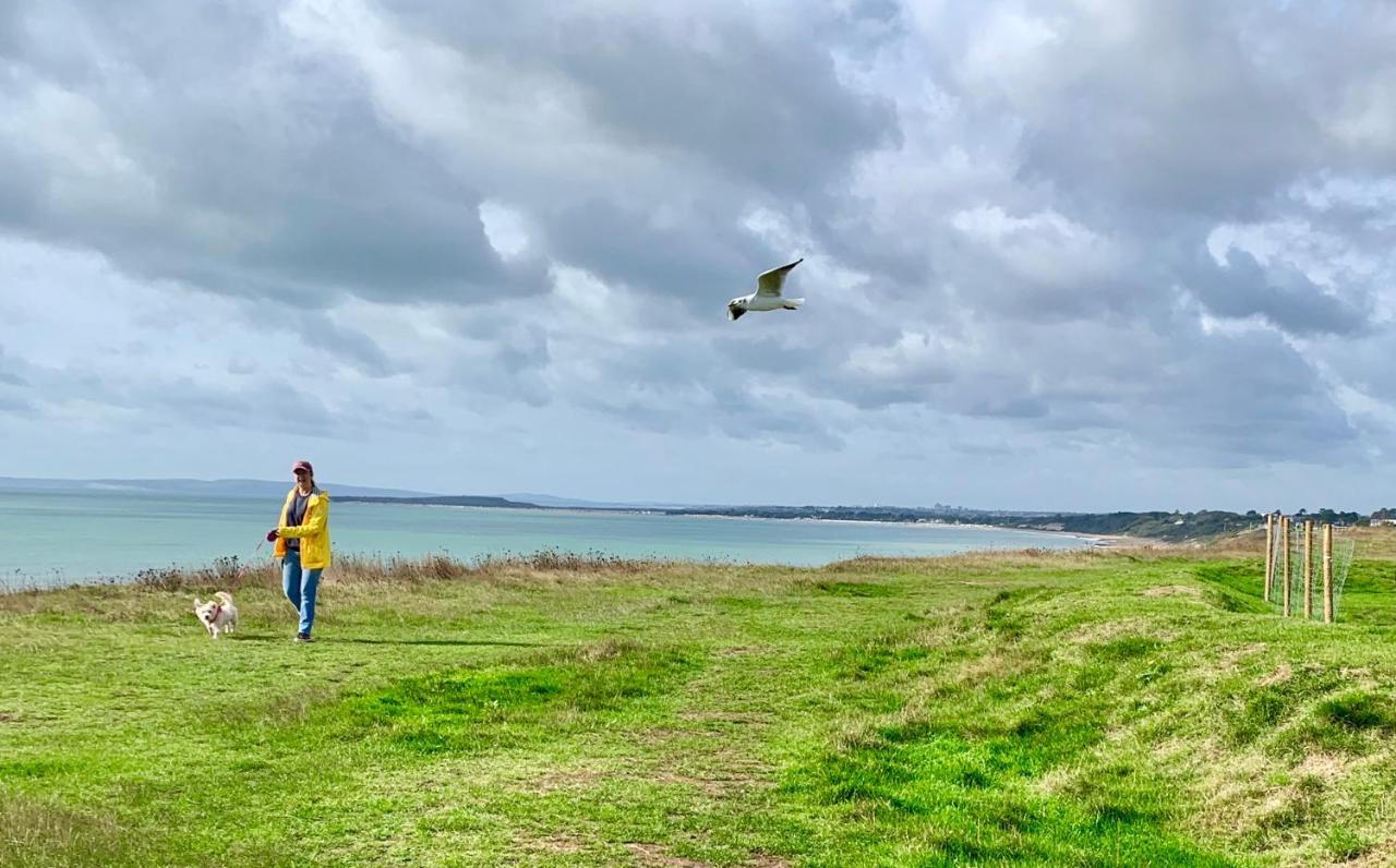 Shorefield Country Park, Where The New Forest Meets The Sea, Passes For All Entertainment Included ミルフォード・オン・シー エクステリア 写真