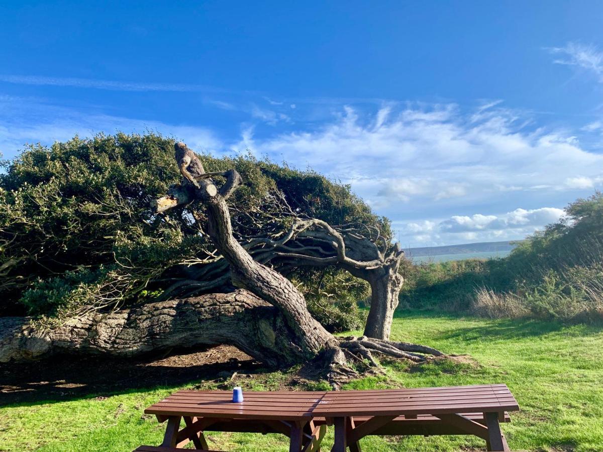 Shorefield Country Park, Where The New Forest Meets The Sea, Passes For All Entertainment Included ミルフォード・オン・シー エクステリア 写真